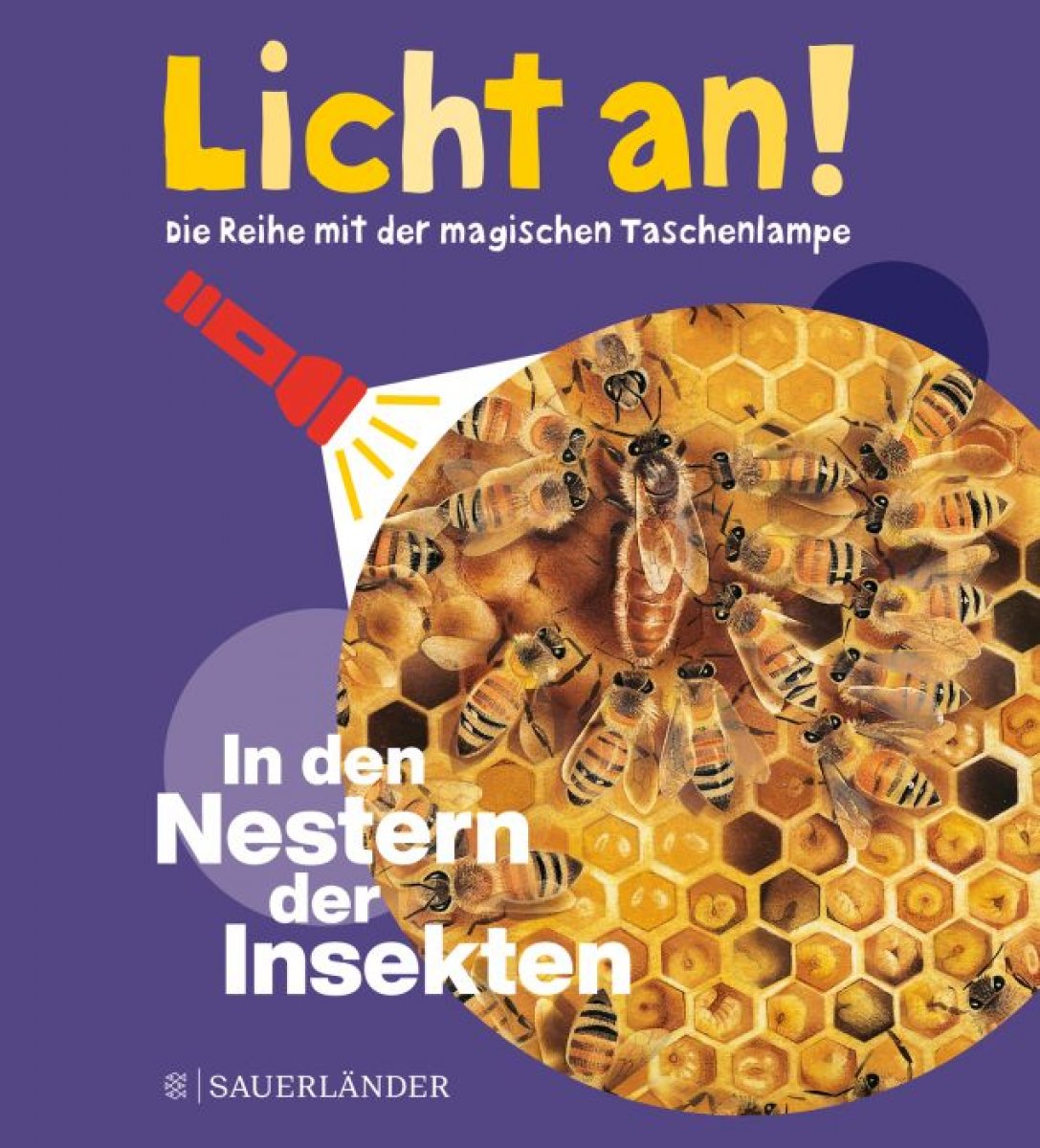 Licht an! In den Nestern der Insekten - Bild 1