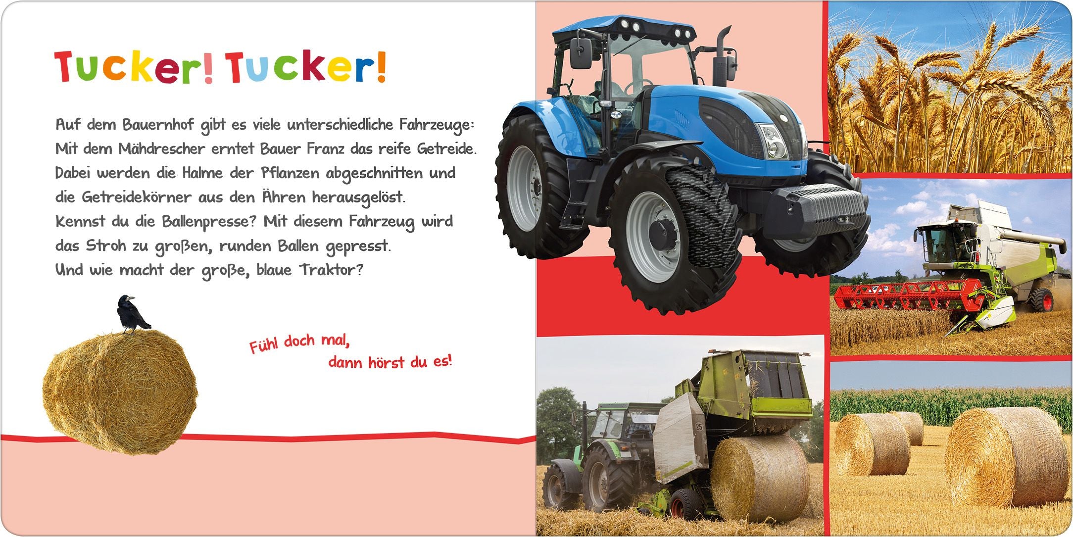 Hör mal rein, wer kann das sein?  Auf dem Bauernhof - Bild 2