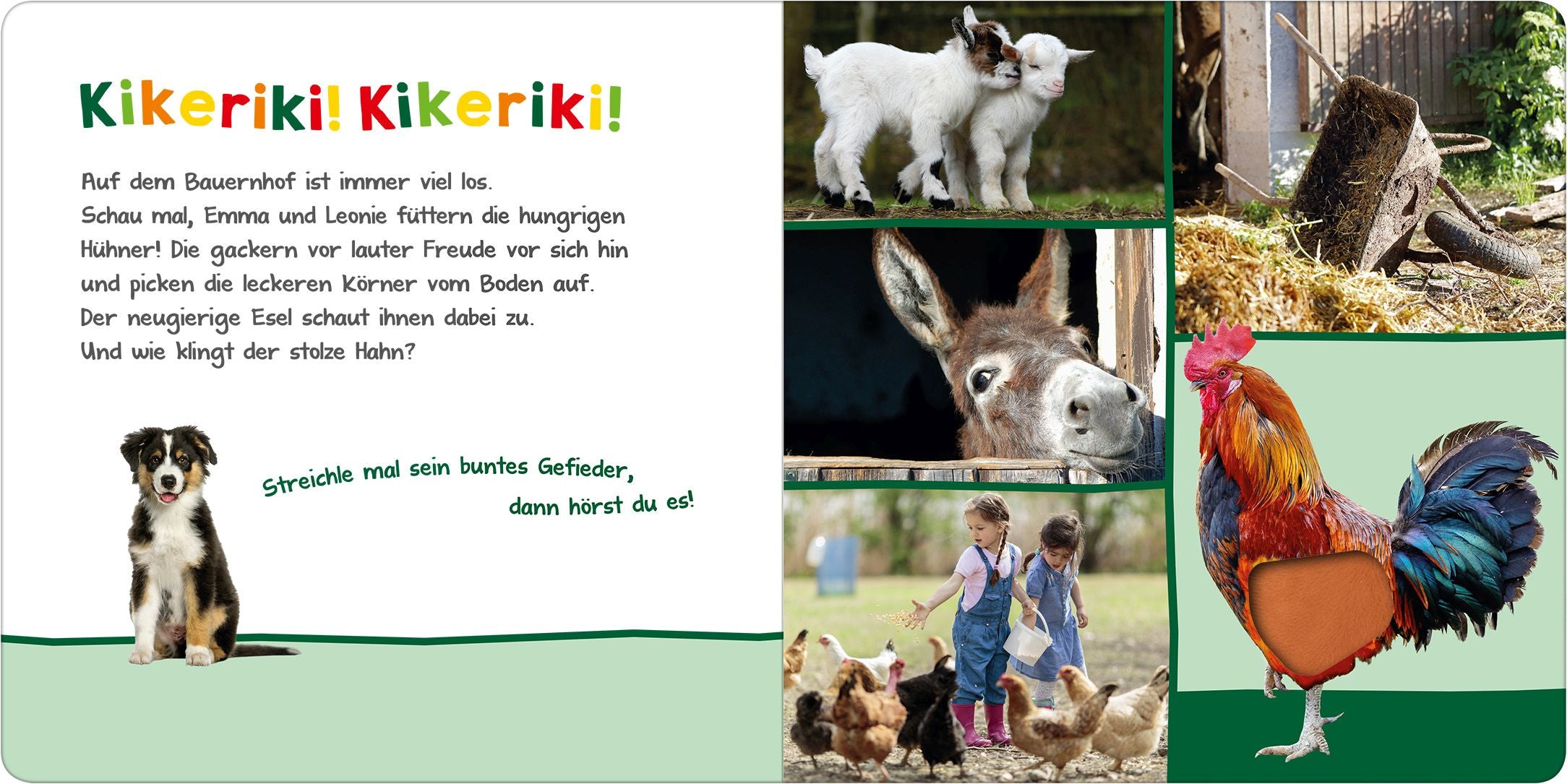 Hör mal rein, wer kann das sein?  Auf dem Bauernhof - Bild 3