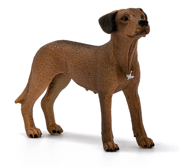 Schleich Rhodesian Ridgeback 13895 - Bild 1