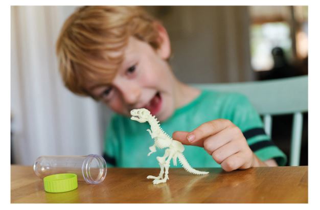 Leuchtendes T-Rex Skelett - Bild 6