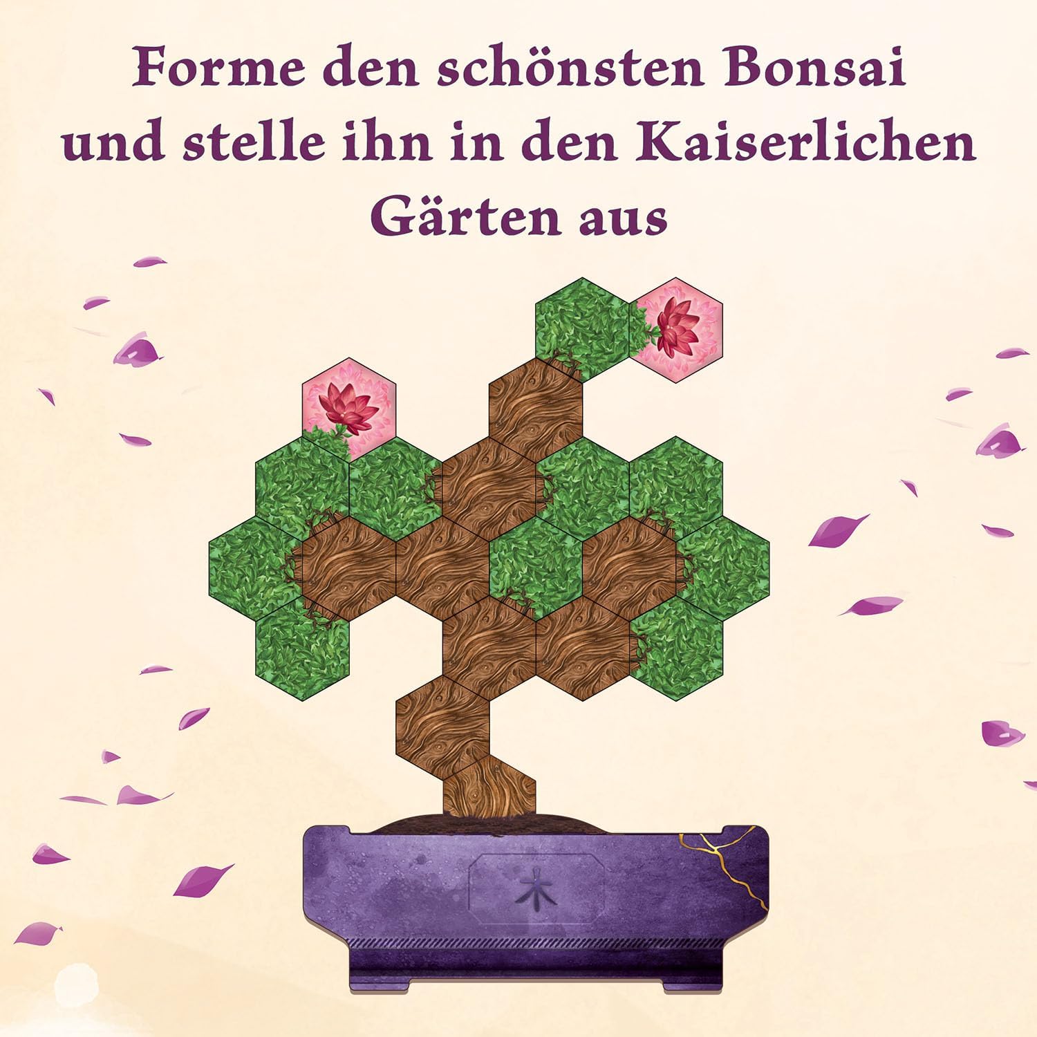 Bonsai - Bild 5