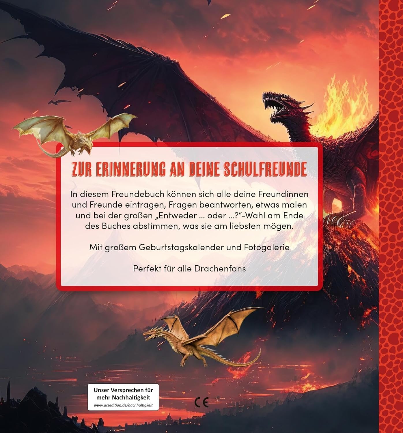 Meine Schulfreunde - Drachen - Bild 2