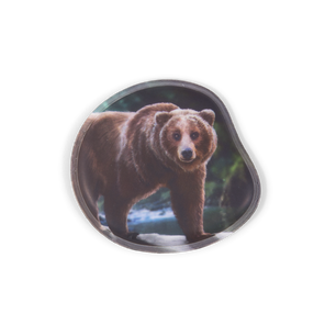 Ergobag Kontur-Klettie Grizzly Bär