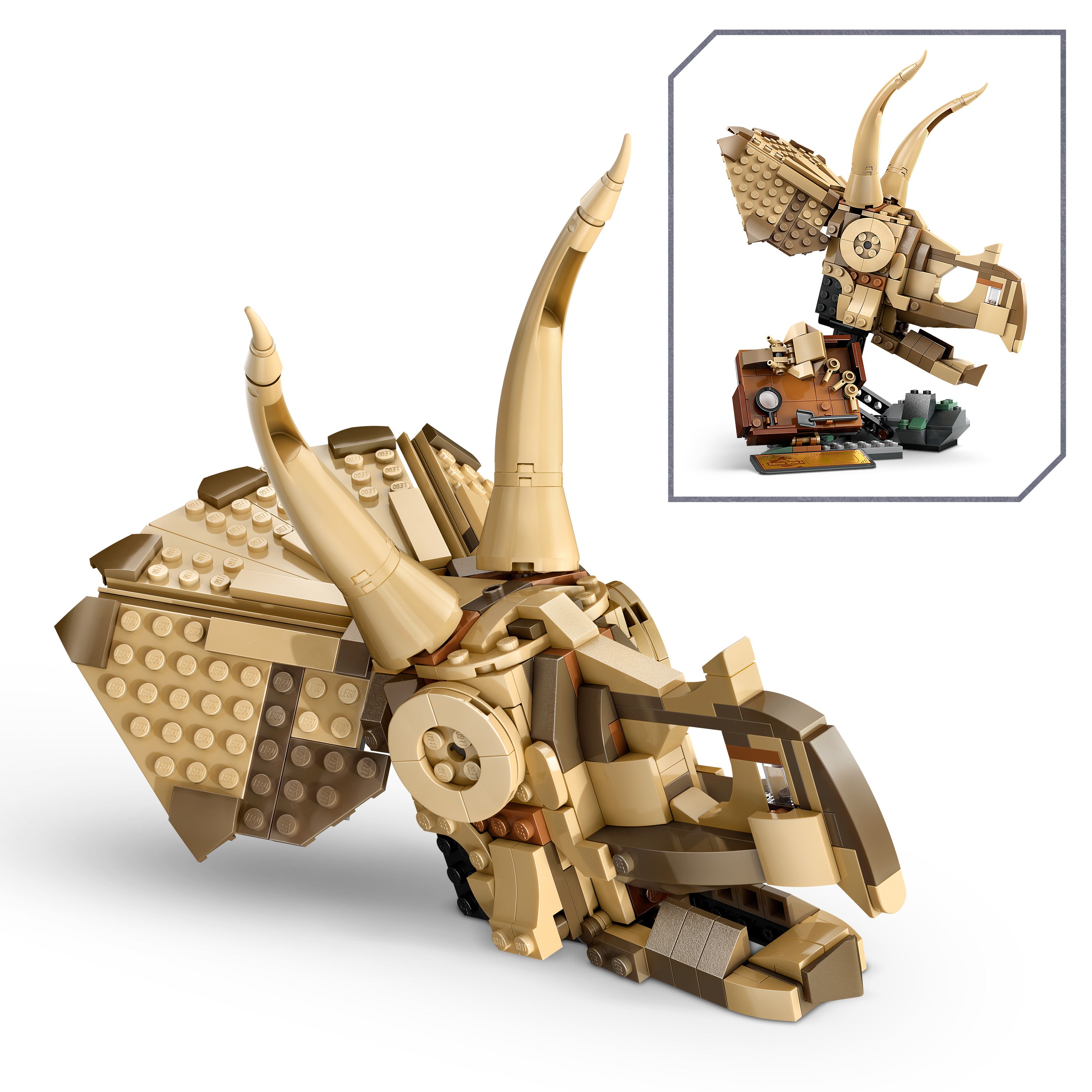 LEGO Jurassic World Dinosaurier-Fossilien: Triceratops-Schädel 76969 - Bild 6