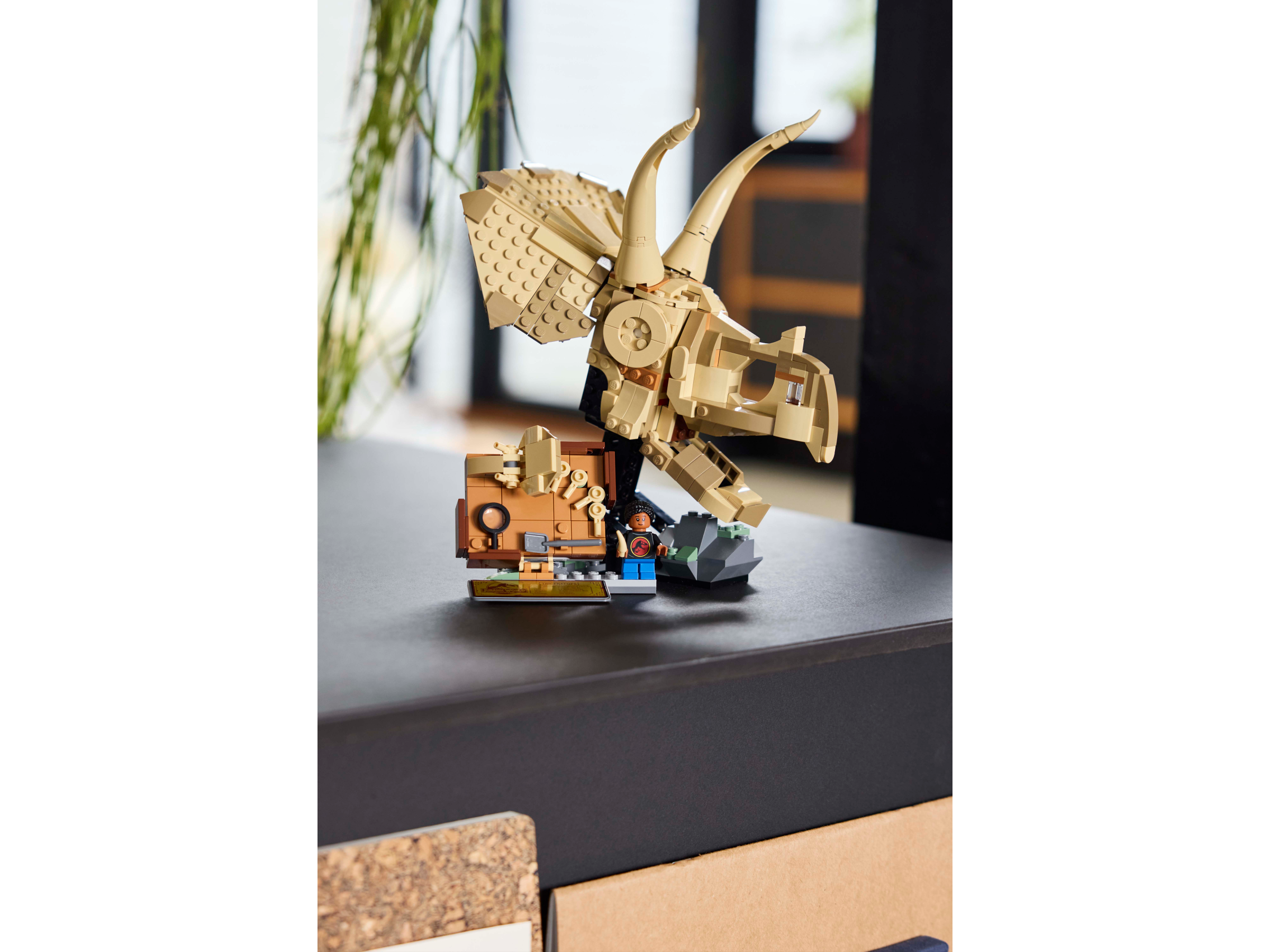 LEGO Jurassic World Dinosaurier-Fossilien: Triceratops-Schädel 76969 - Bild 7