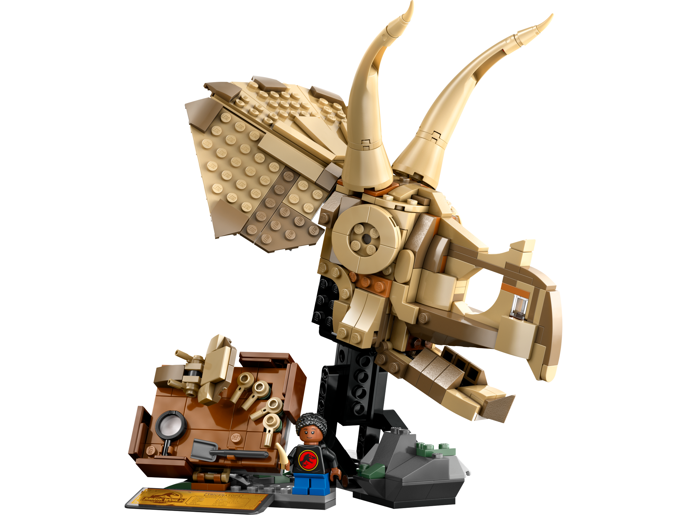 LEGO Jurassic World Dinosaurier-Fossilien: Triceratops-Schädel 76969 - Bild 2