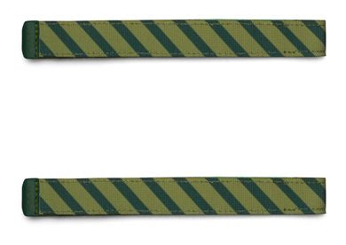 Satch Swaps Stripe Green - Bild 2