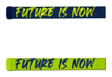 Satch Swaps Future is Now - Bild 1