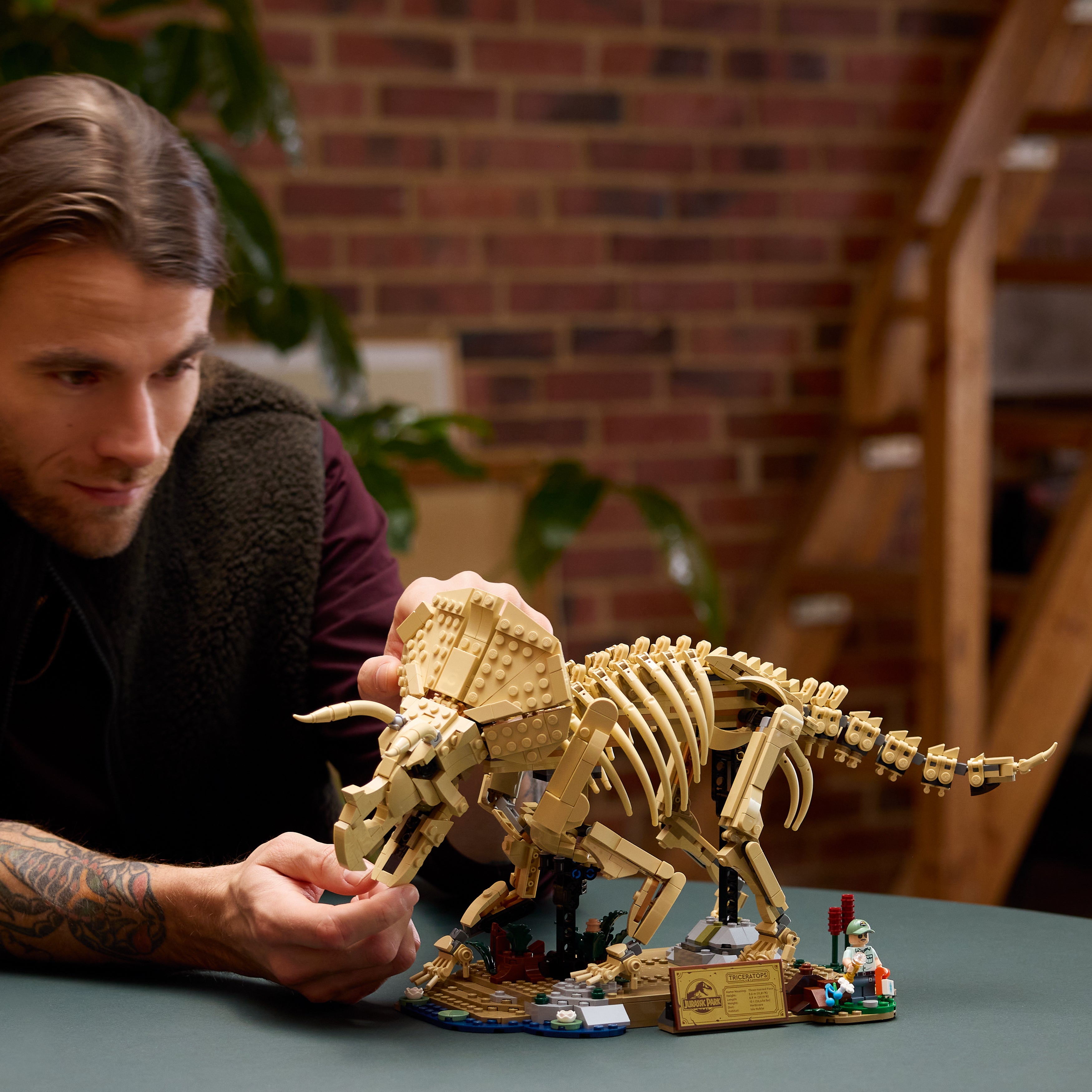 LEGO Jurassic World Dinosaurier-Fossilien: Triceratops 77985 - Bild 6