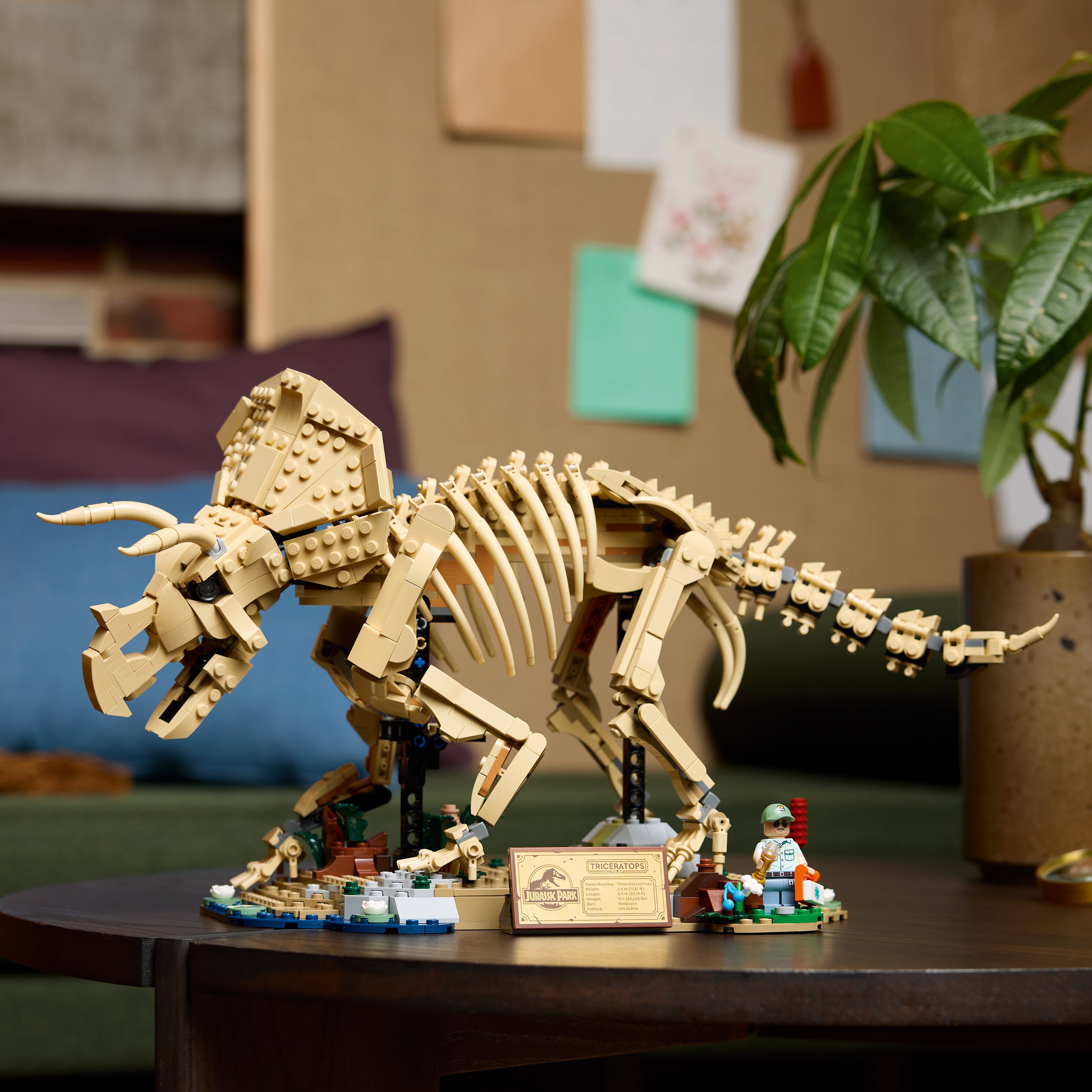 LEGO Jurassic World Dinosaurier-Fossilien: Triceratops 77985 - Bild 5