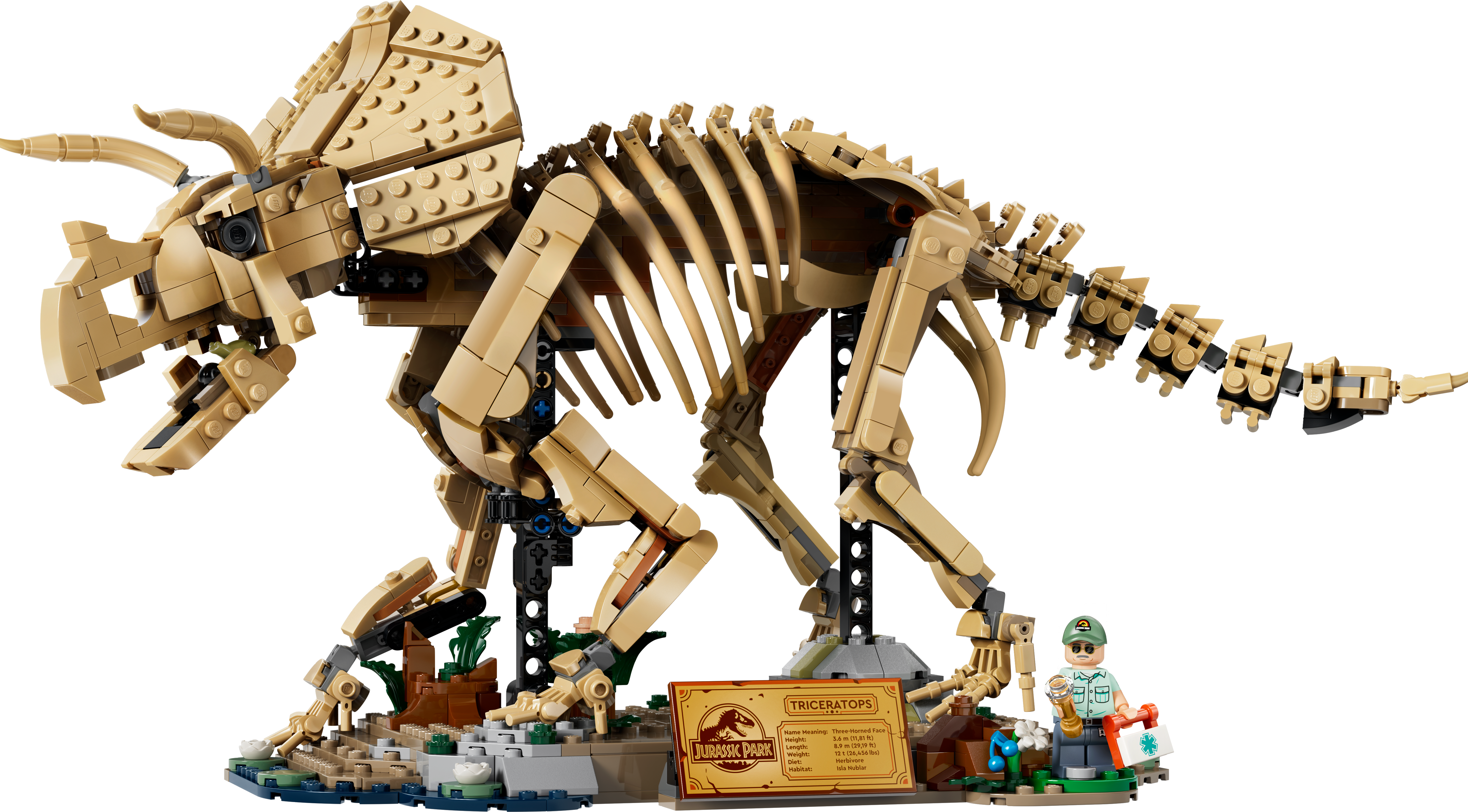 LEGO Jurassic World Dinosaurier-Fossilien: Triceratops 77985 - Bild 2
