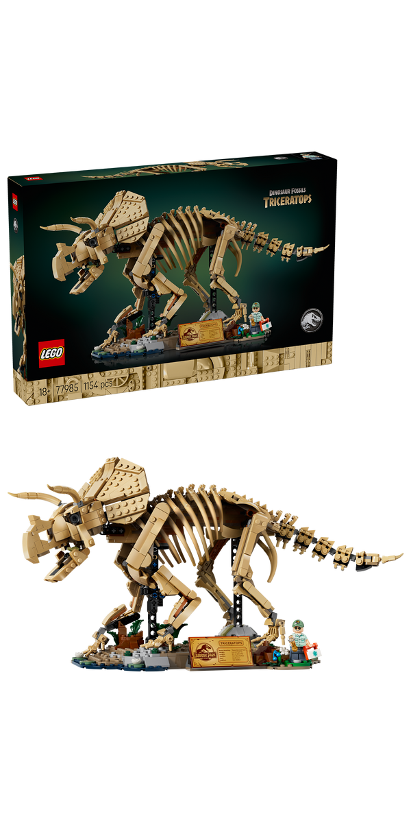 Verpackung des LEGO Jurassic World Triceratops-Fossil 77985 mit dem fertigen Modell
