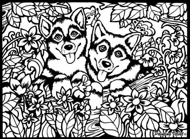 TataRuga Samtbild zum Ausmalen A4 Huskys - Bild 1