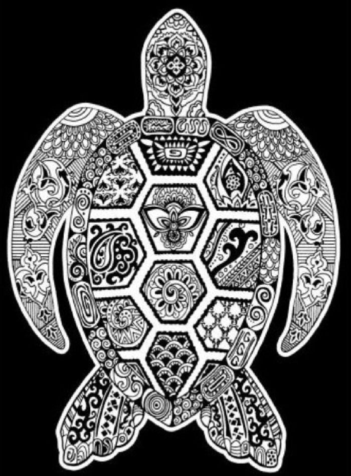 TataRuga Samtbild zum Ausmalen A4 Schildkröte - Bild 1