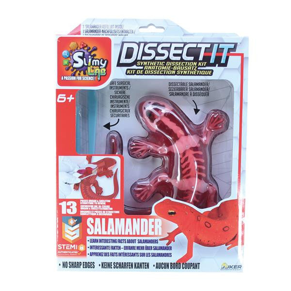 Slimy Lab Dissect-it Salamander - Bild 1