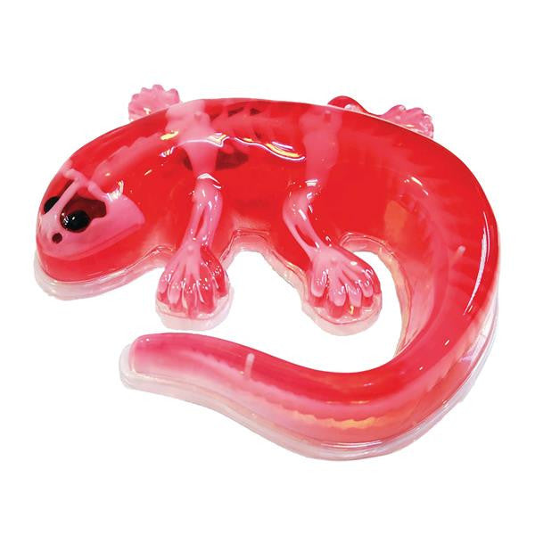 Slimy Lab Dissect-it Salamander - Bild 2