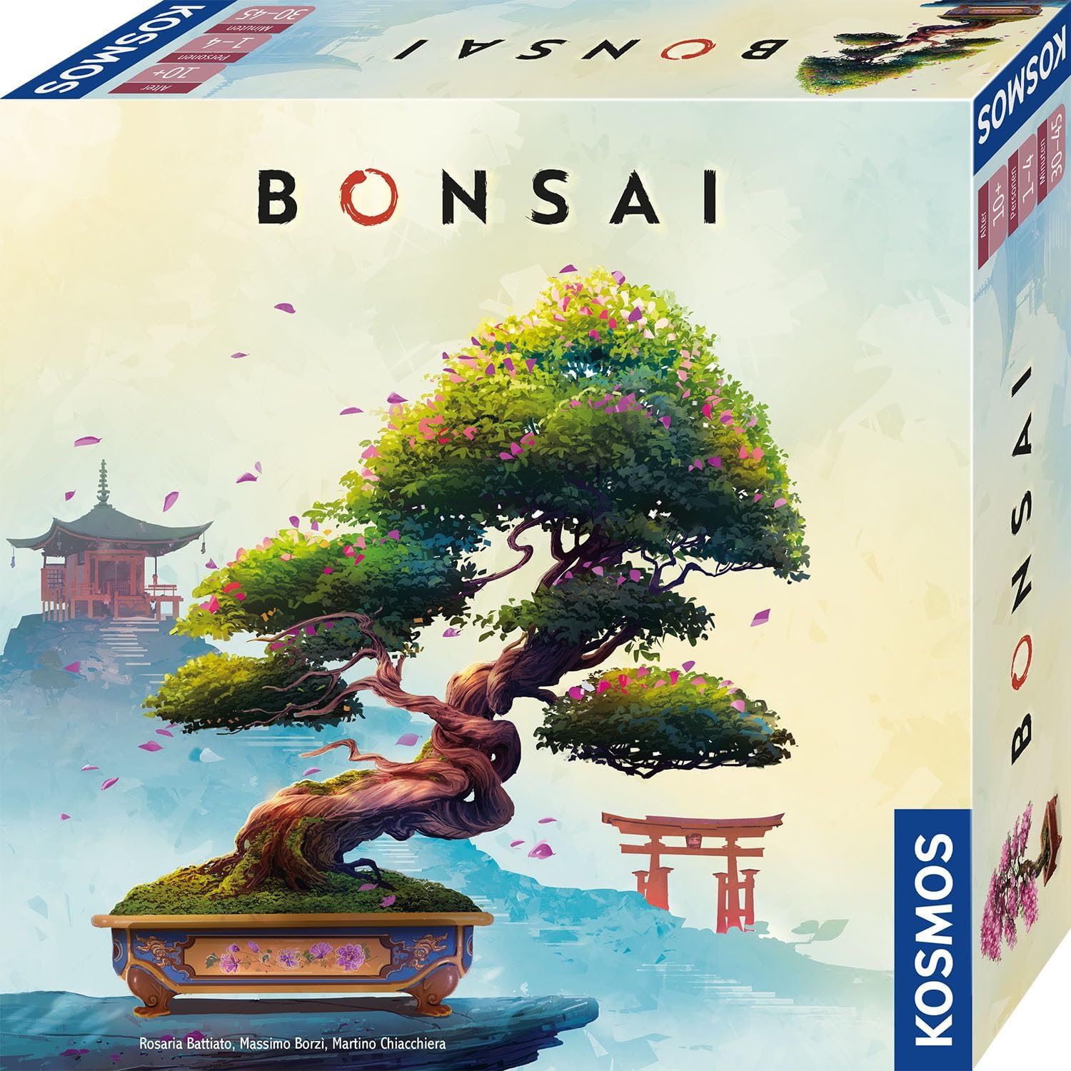Bonsai - Bild 1