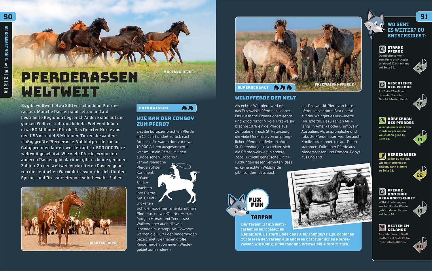 Kosmos SchlauFux Pferde und Ponys - Bild 5