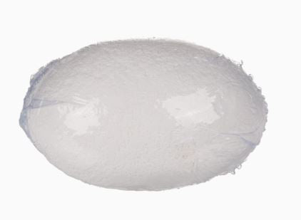 Schlüpfender Dino im Ei - Bild 8