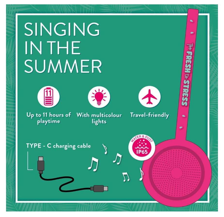 Legami  Singing In The Summer - Bild 7