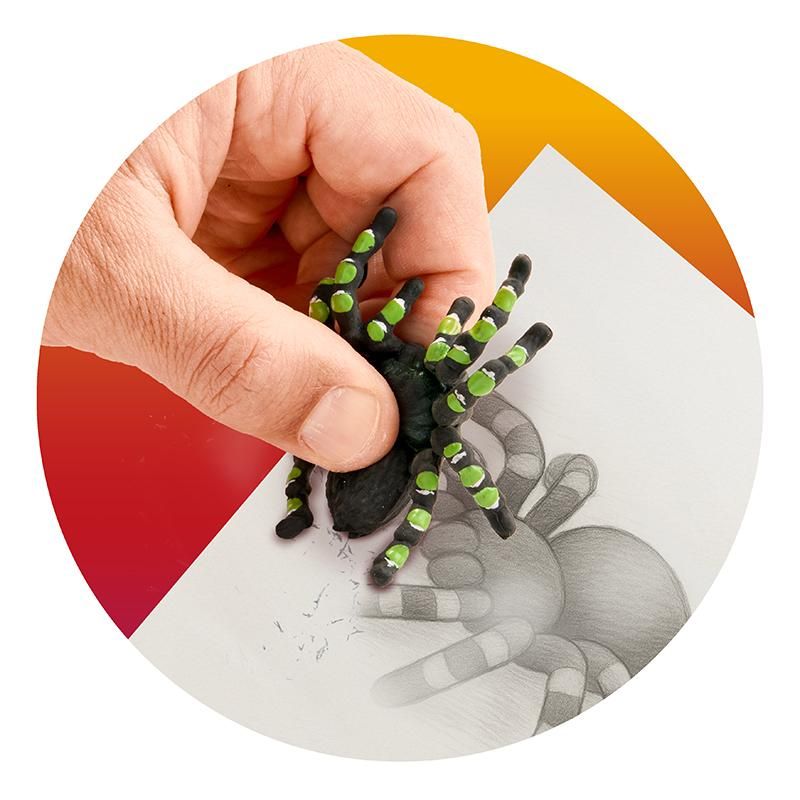 Radierer Vogelspinne - Bild 3