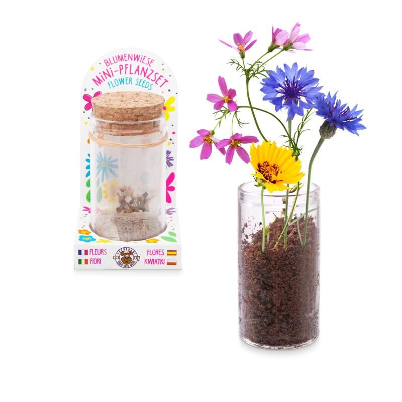 Good Feeling mini-Pflanzset Blumenwiese - Bild 1