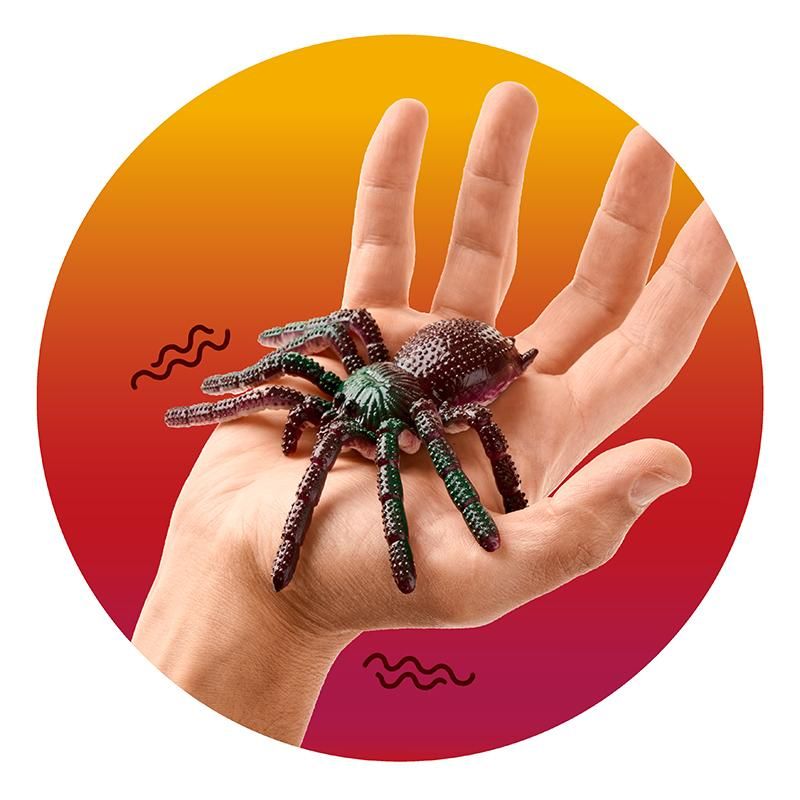 Grusel - Spinne - Bild 3