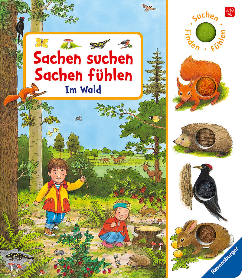 Sachen suchen, Sachen fühlen: Im Wald - Bild 1