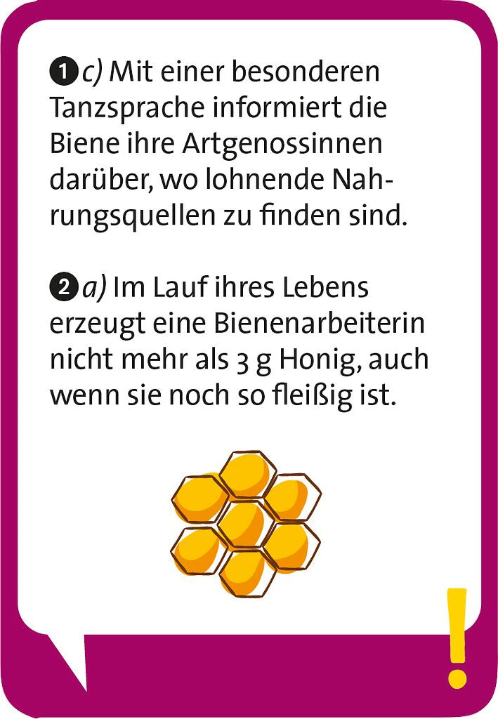 Pocket Quiz Junior Unglaublich, aber wahr - Bild 4
