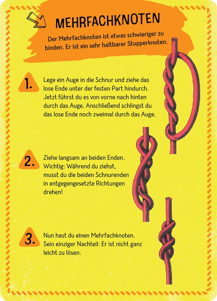 Expedition Natur : Die grosse Box der Knoten - Bild 2