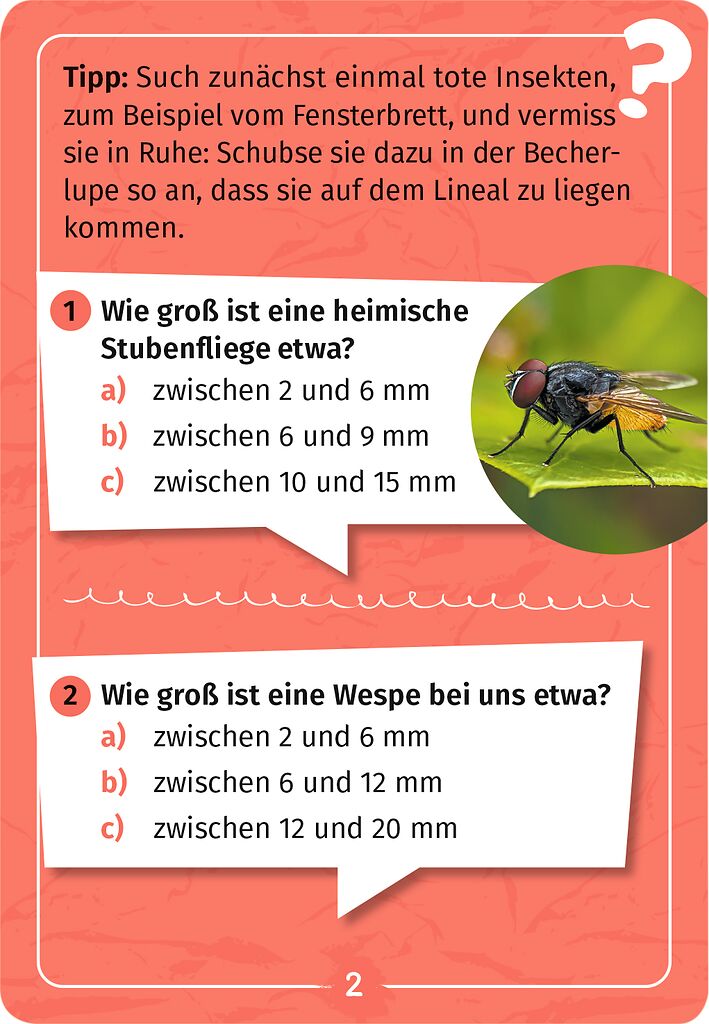 Expedition Natur : Mein Becherlupen Forscherquiz - Bild 3