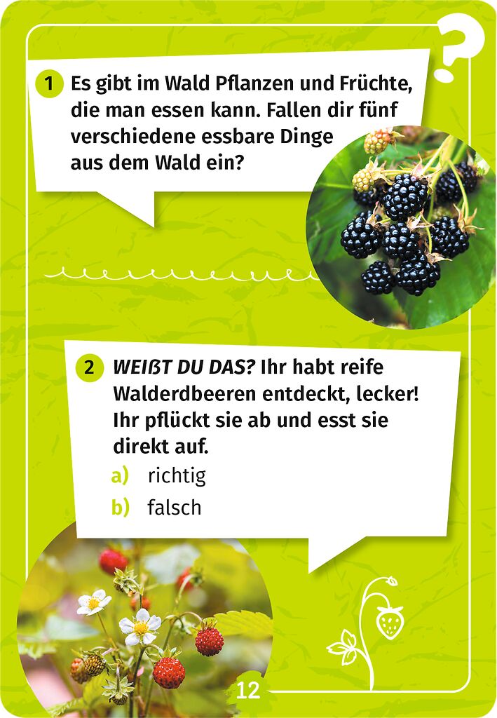 Expedition Natur : Mein Wald - Forscherquiz - Bild 2