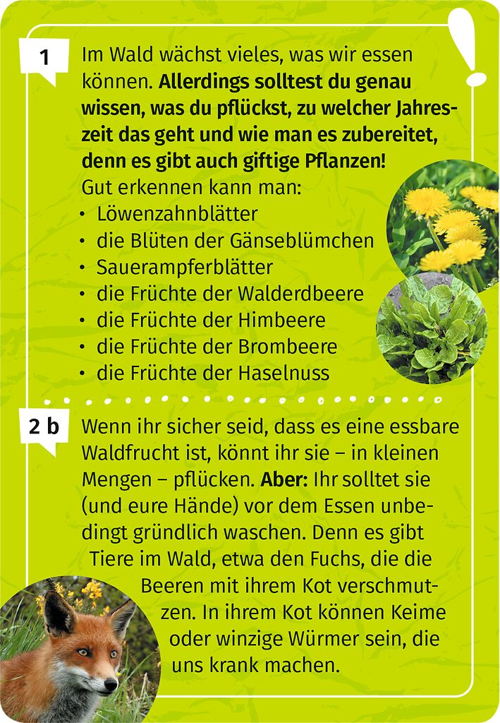 Expedition Natur : Mein Wald - Forscherquiz - Bild 3