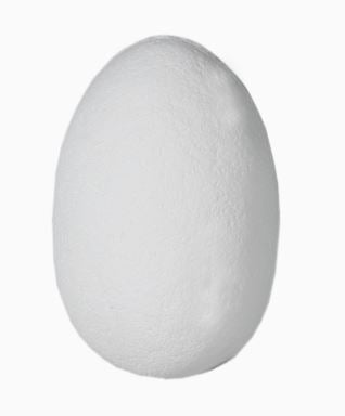 Schlüpfender Dino im Ei - Bild 9