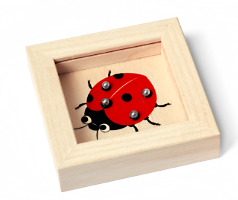 Geduldspiele  aus Holz - Bild 1