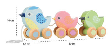 Nachziehtier Vögel - Bild 2