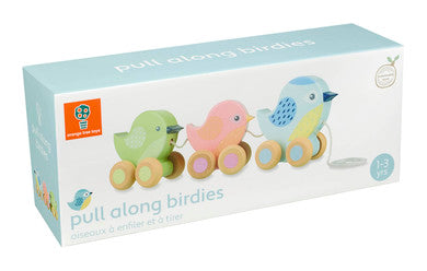Nachziehtier Vögel - Bild 3
