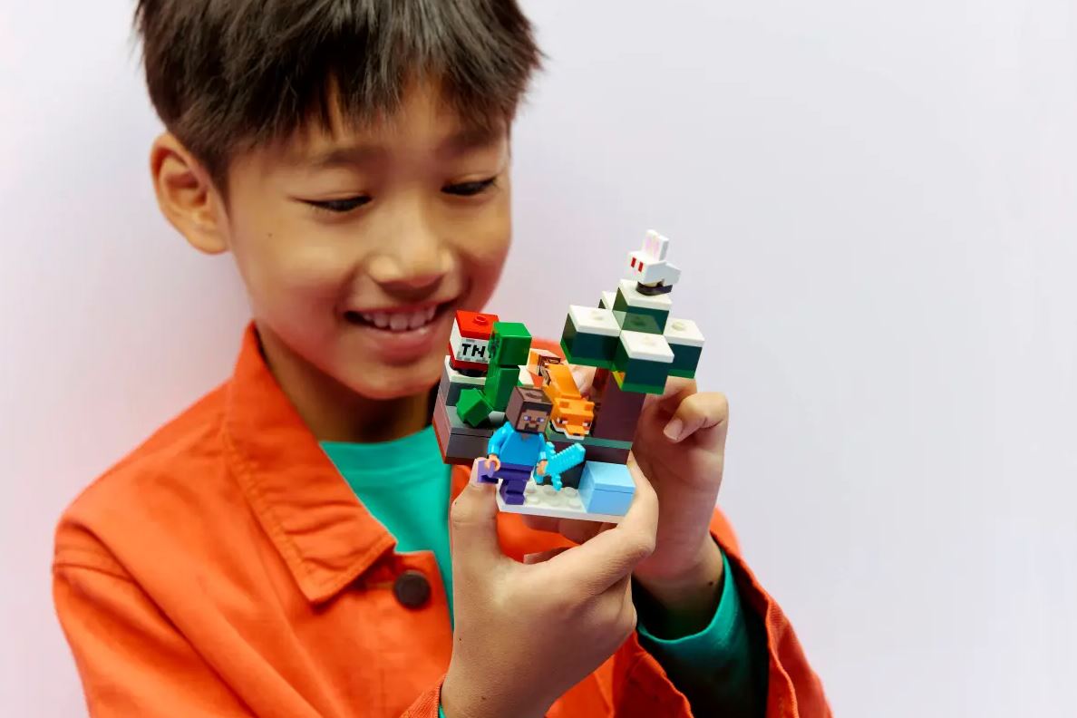 LEGO Minecraft™ Steves Abenteuer in der Taiga 21583 - Bild 3