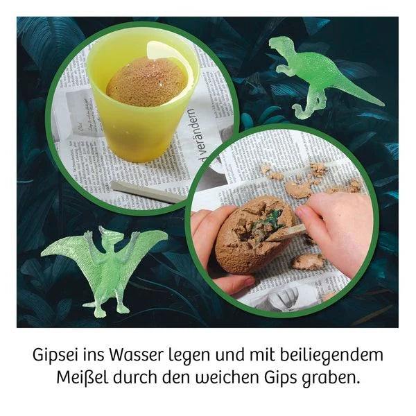 Ausgrabung Nachtleuchtende Dinos - Bild 2