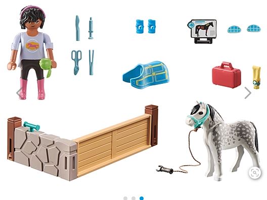 PLAYMOBIL Pferde-Therapeutin 71497 - Bild 2