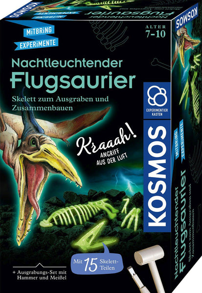 Kosmos Nachtleuchtender Flugsaurier