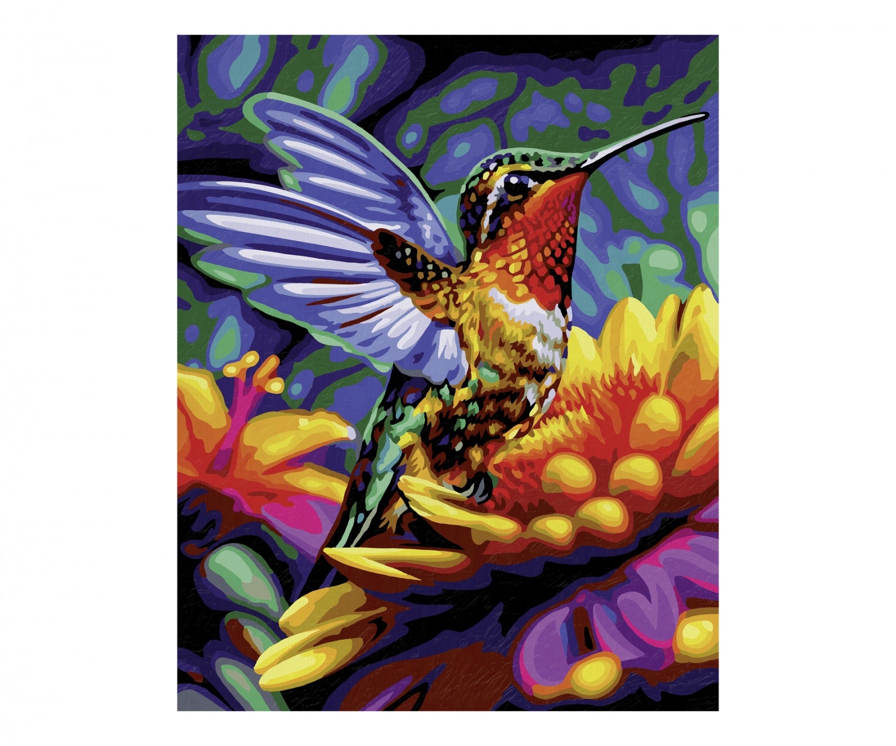 Schipper Kolibri 40x50cm - Bild 1