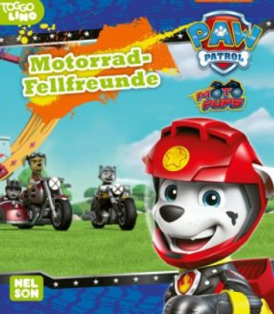 Nelson Mini-Bücher: PAW Patrol 17-20 - Bild 4