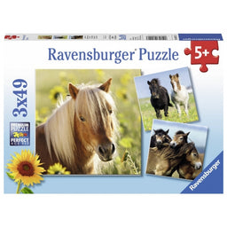 Puzzle 3x49 Liebe Pferde 08.011