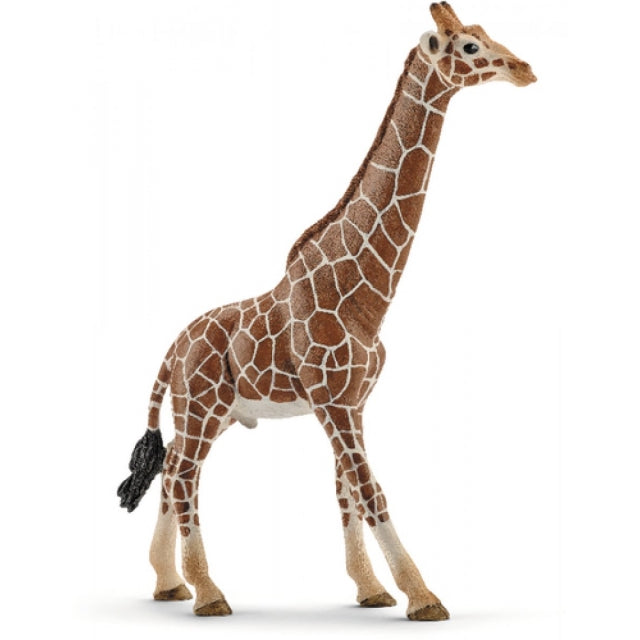 Schleich Giraffenbulle 14749 - Bild 1