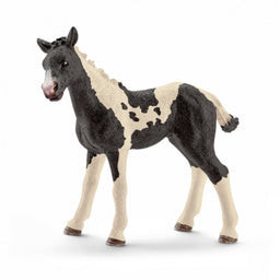 Schleich Pinto Fohlen 13803