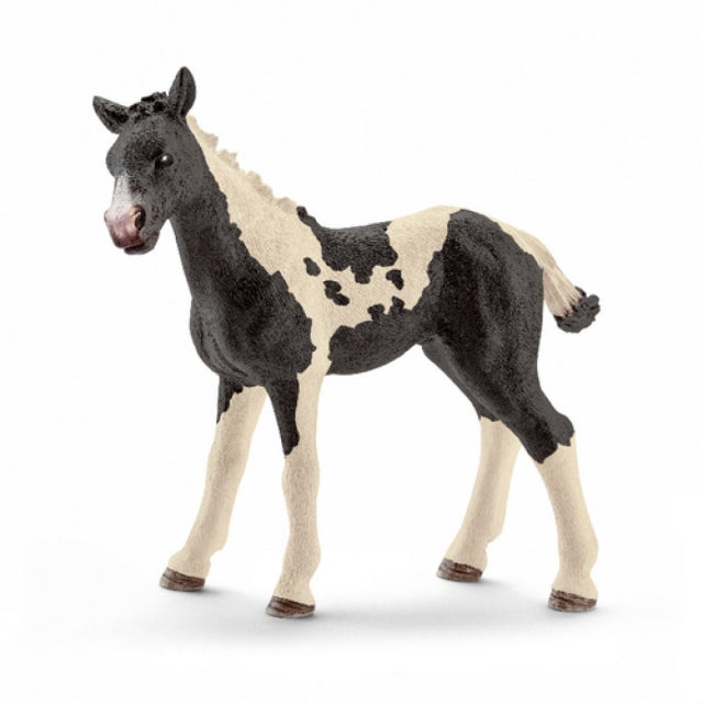 Schleich Pinto Fohlen 13803 - Bild 2
