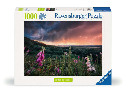 Puzzle 1000 Teile Ein Sturm zieht auf 00.793