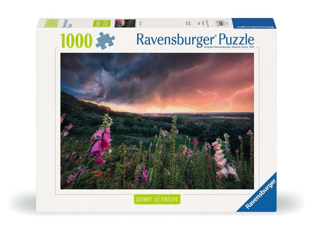 Puzzle 1000 Teile Ein Sturm zieht auf 00.793 - Bild 1